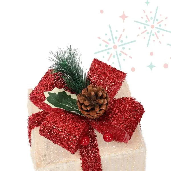 ABS Plastic LED60 Light Warm White Christmas Lights Three Piece Set in Onion Cloth Gift Box Model D0100XUDA9G